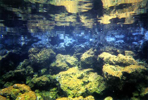 Hawaiian sport vacations