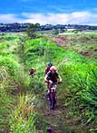 to Waipio Valley