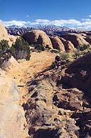 Judy on Poison Spider Trail