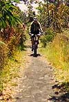 Volcano singletrack