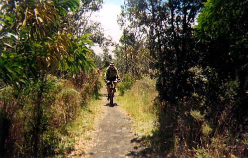 Hawaii Vacations with Dreamride