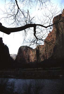 Zion National Park